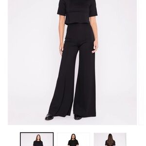 Ripley Rader Ponte Knit Black Wide Leg Pants- Full length